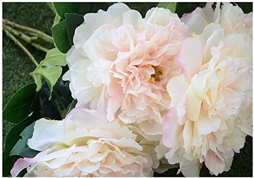 Peonies - White - 5 PCS