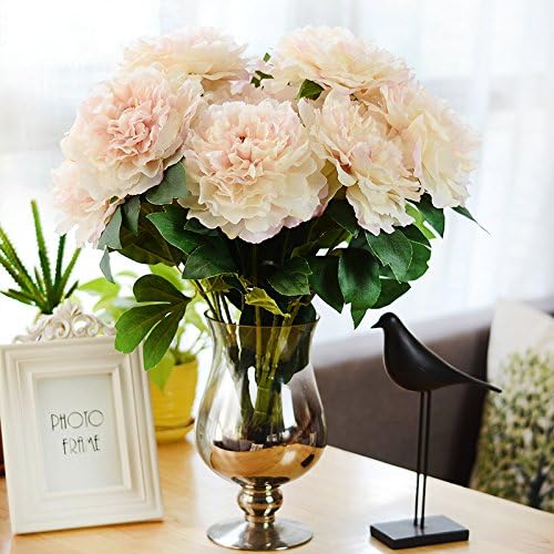 Peonies - White - 5 PCS