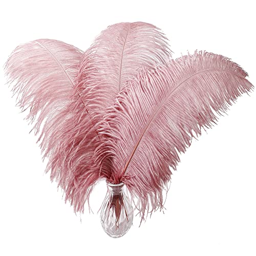 Hot Pink Ostrich Feathers - 10pcs