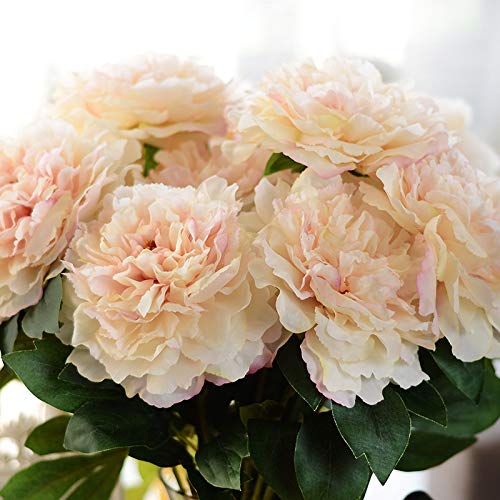 Peonies - White - 5 PCS