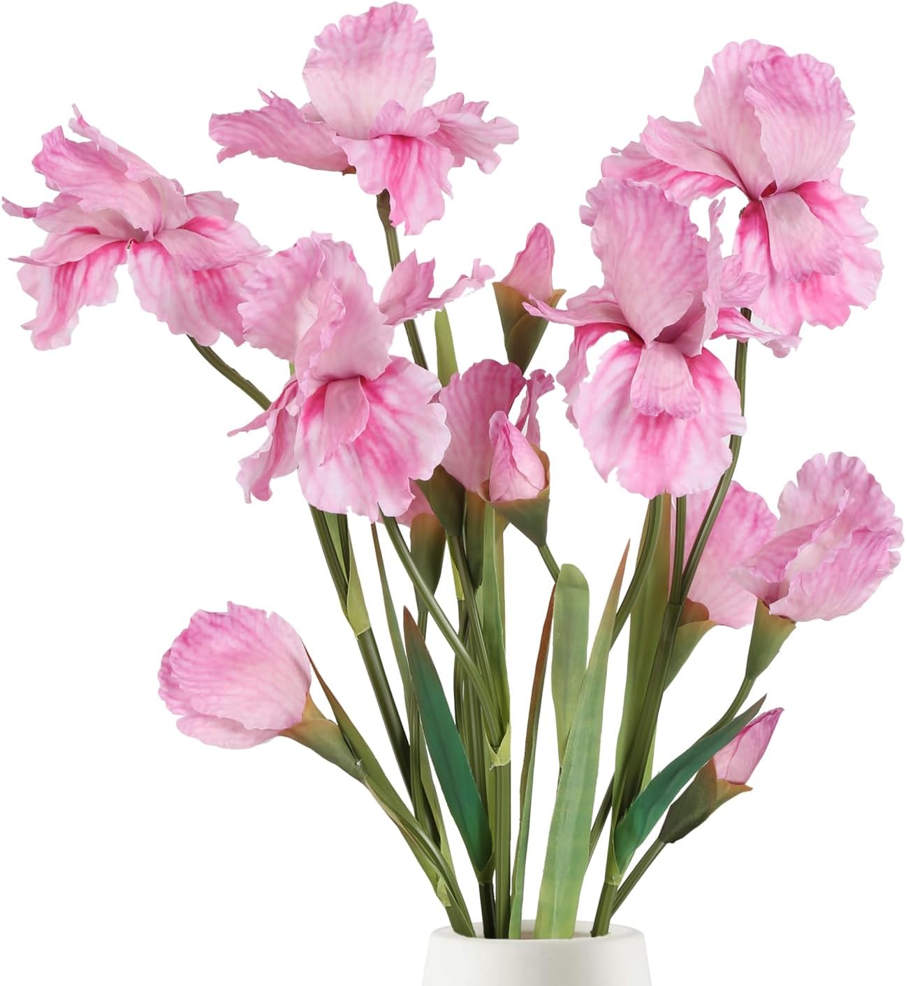 Pink Iris - 3 PCS