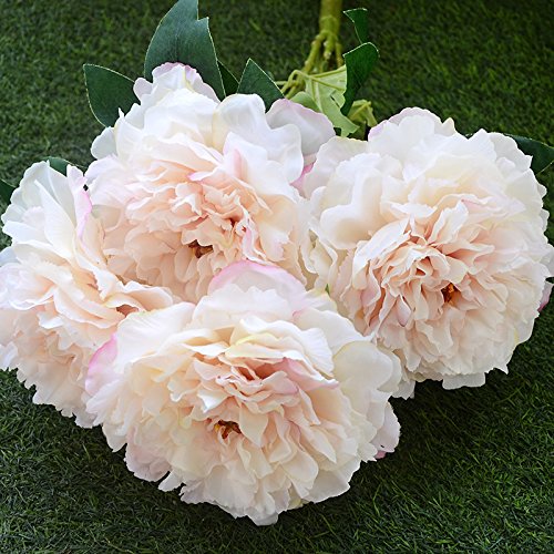Peonies - White - 5 PCS