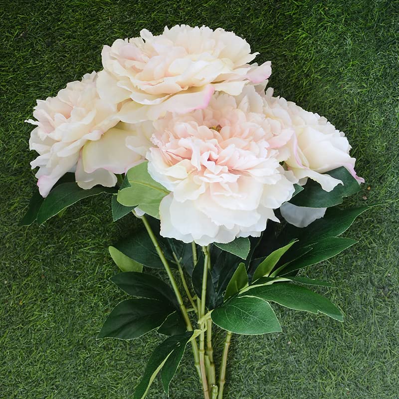 Peonies - White - 5 PCS
