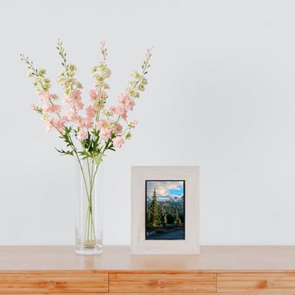 Pink Delphinium