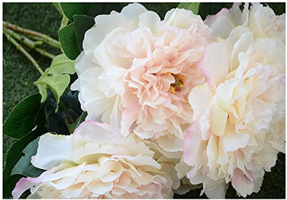 Peonies - White - 5 PCS