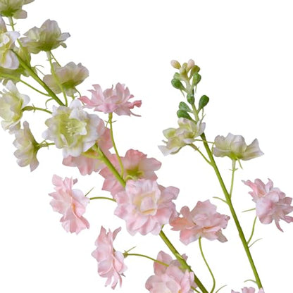Pink Delphinium