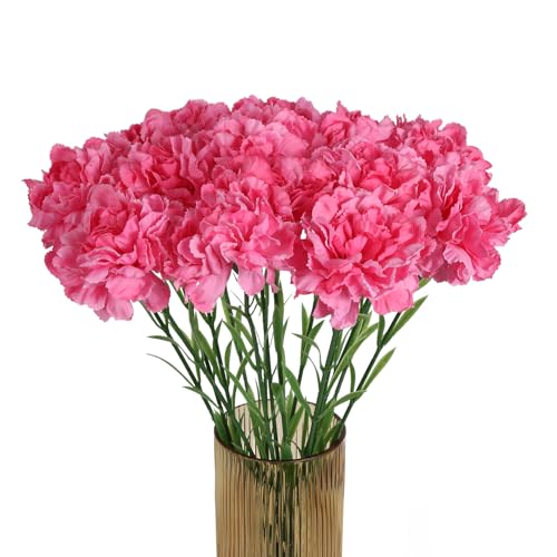 Hot Pink Carnations - 15PCS