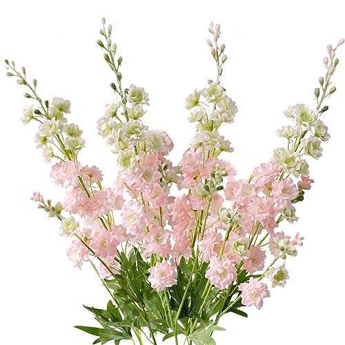Pink Delphinium